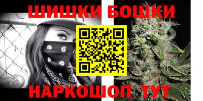 индика Пугачёв