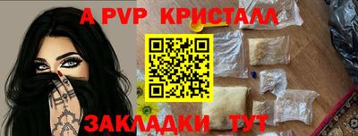индика Пугачёв